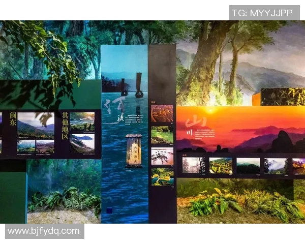 探索索博斯洛伊的历史与文化遗产之旅,揭开这座城市的神秘面纱