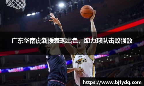 广东华南虎新援表现出色，助力球队击败强敌